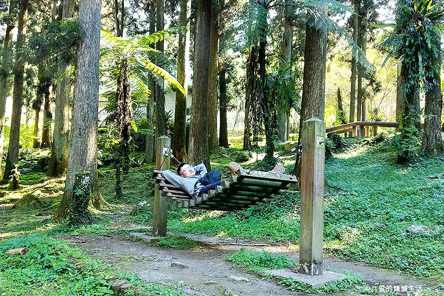 relax-in-xitou-nature-education-area-01