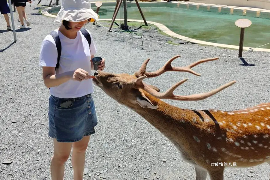 門票價格優惠