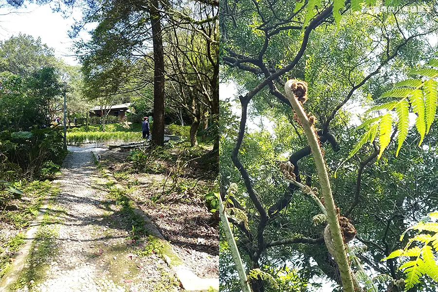 erbazi-botanical-garden15