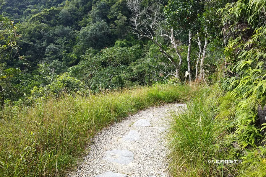 jiaoxi-horse-racing-trail20