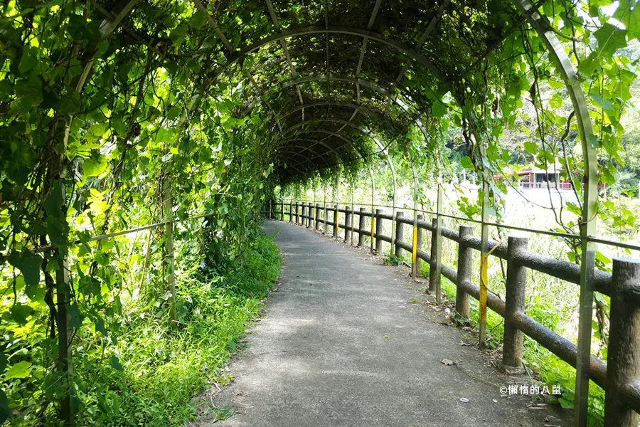 綠色隧道-坪林一日