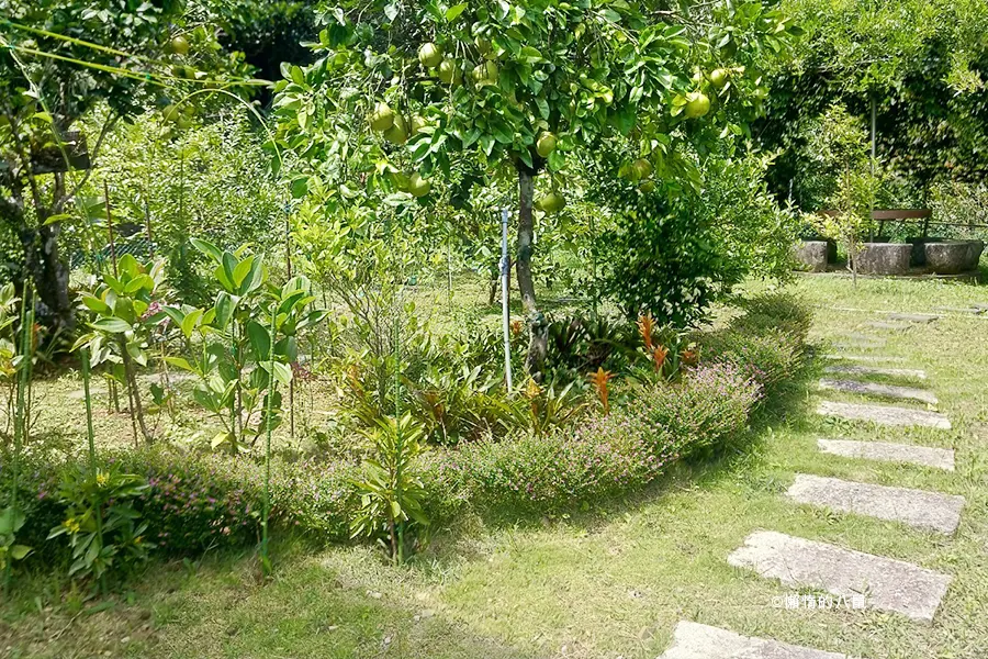 qingqing-landscape-coffee06