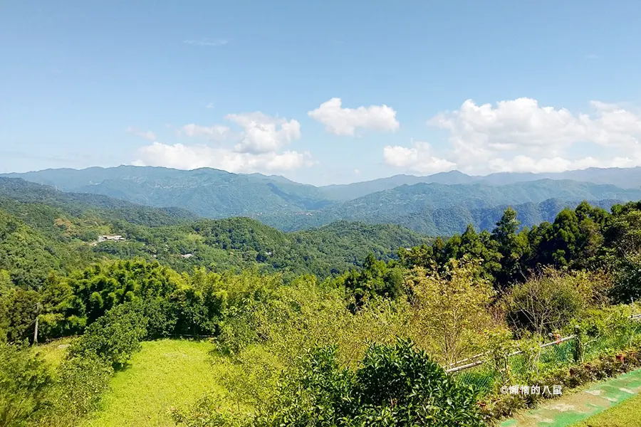 qingqing-landscape-coffee18