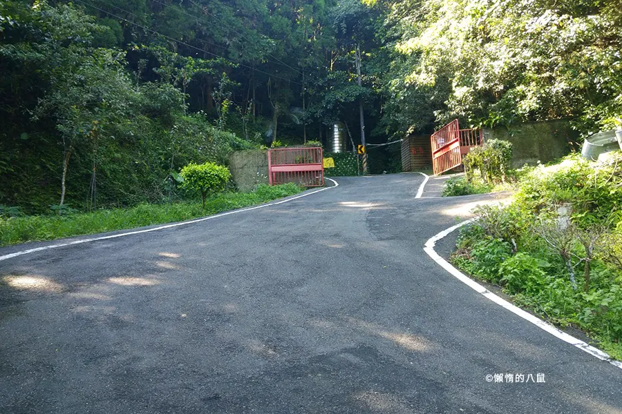 qingqing-landscape-coffee23