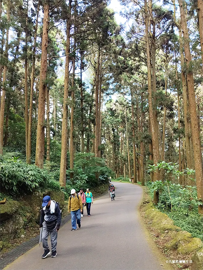 relax-in-xitou-nature-education-area-04-01