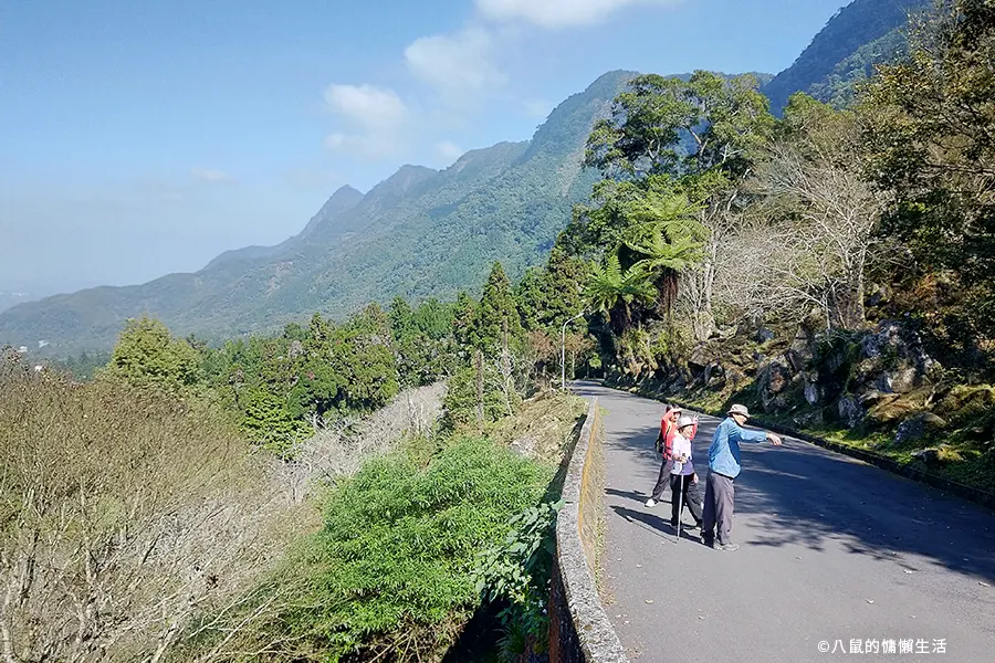 relax-in-xitou-nature-education-area-06