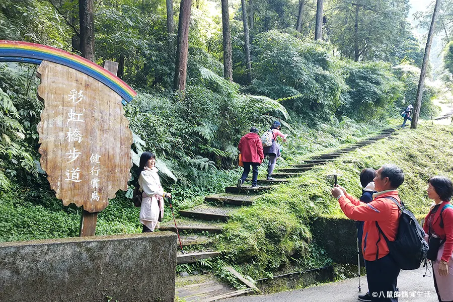 relax-in-xitou-nature-education-area-07