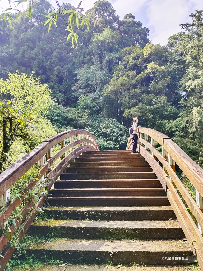relax-in-xitou-nature-education-area-08-768x1024