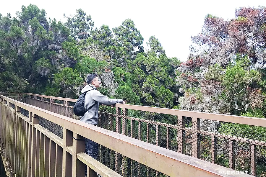 relax-in-xitou-nature-education-area-09