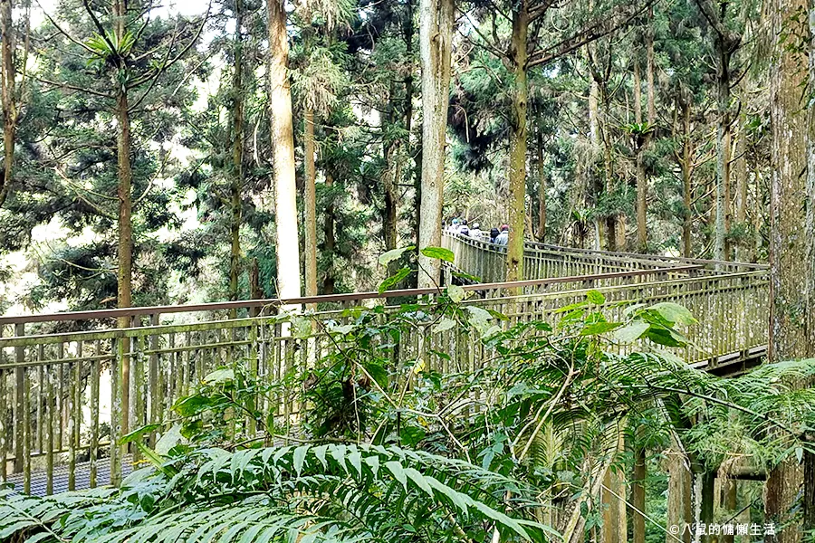 relax-in-xitou-nature-education-area-10