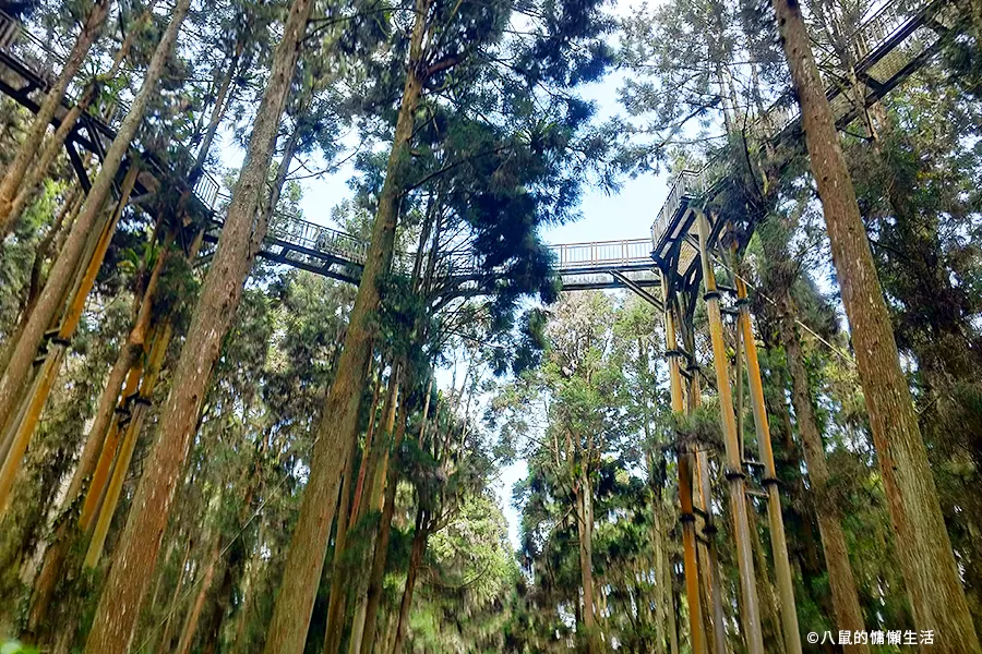 relax-in-xitou-nature-education-area-11