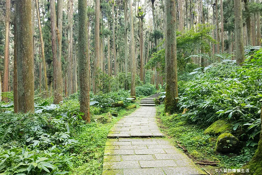 relax-in-xitou-nature-education-area-12