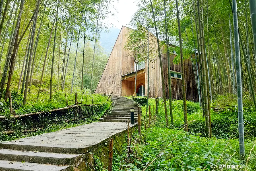 relax-in-xitou-nature-education-area-13