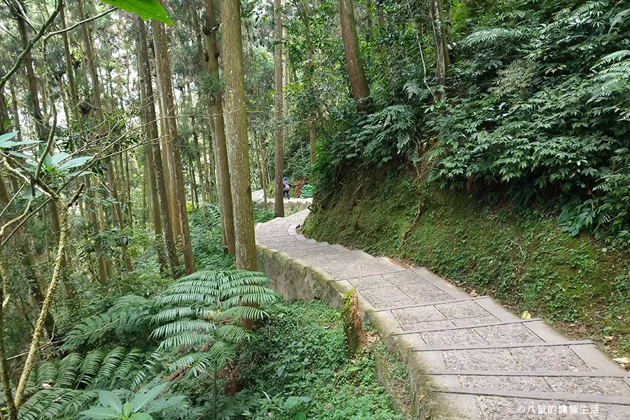 relax-in-xitou-nature-education-area-17