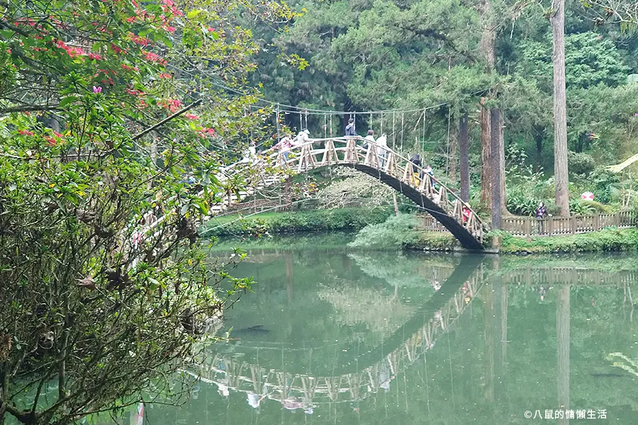 relax-in-xitou-nature-education-area-18