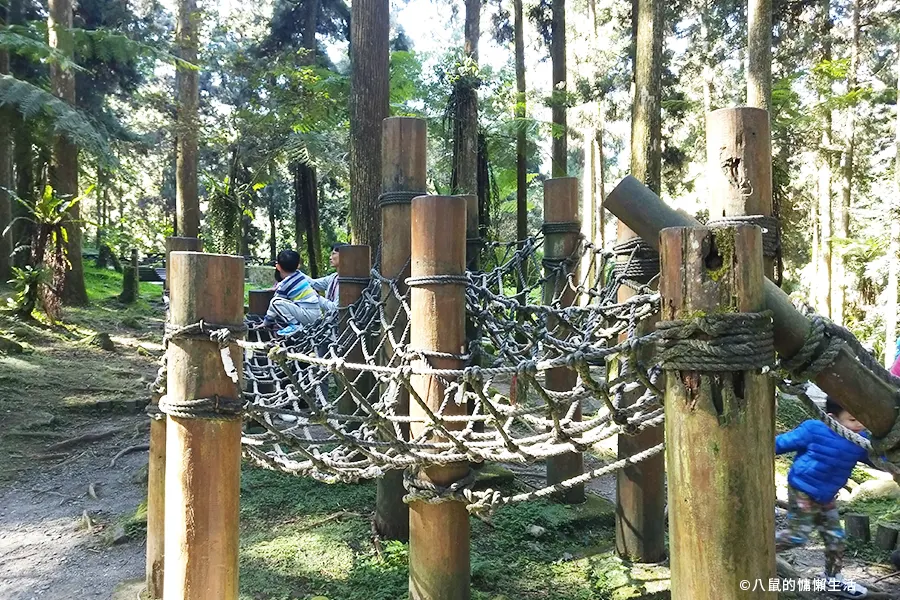 relax-in-xitou-nature-education-area-22