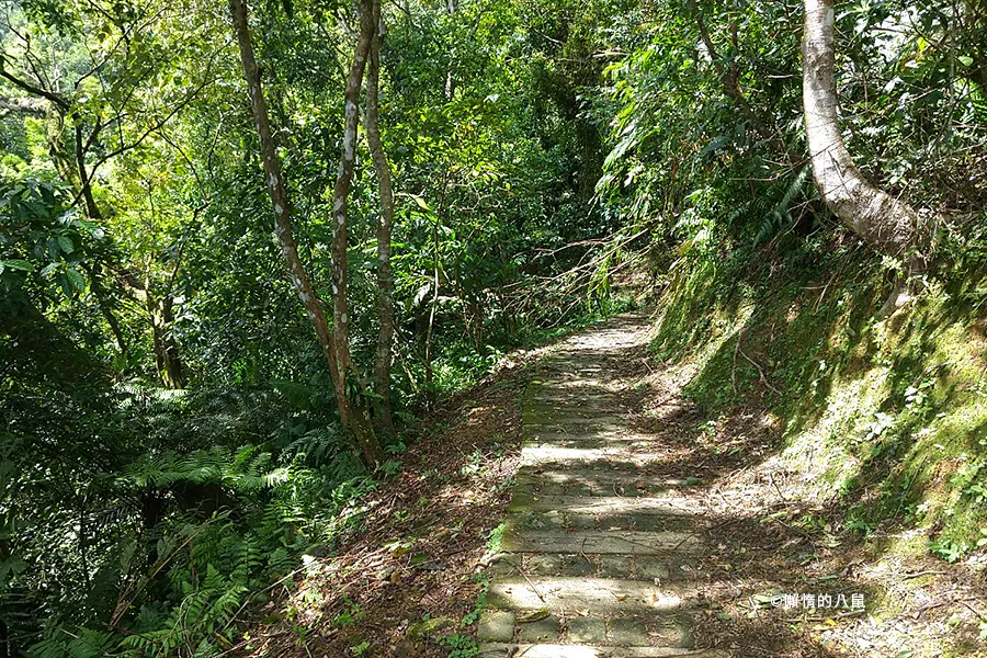 永安景觀步道