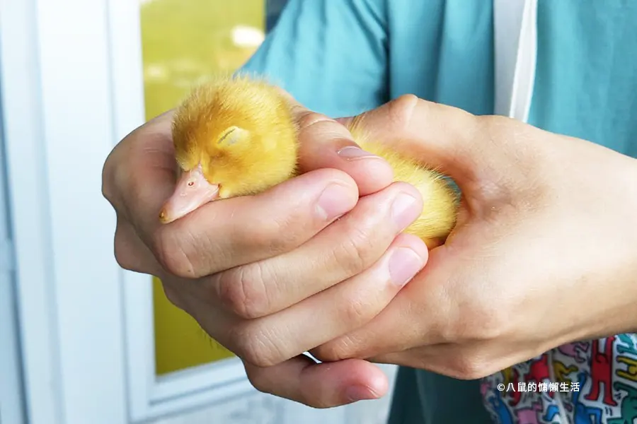 yilan-jiaoxi-produck-travel06