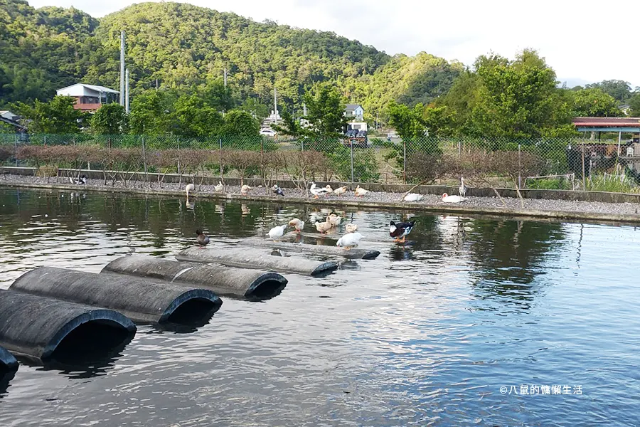 yilan-jiaoxi-produck-travel10-1