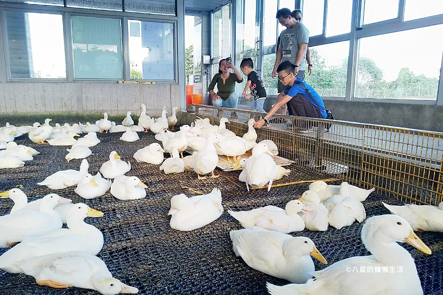 yilan-jiaoxi-produck-travel12