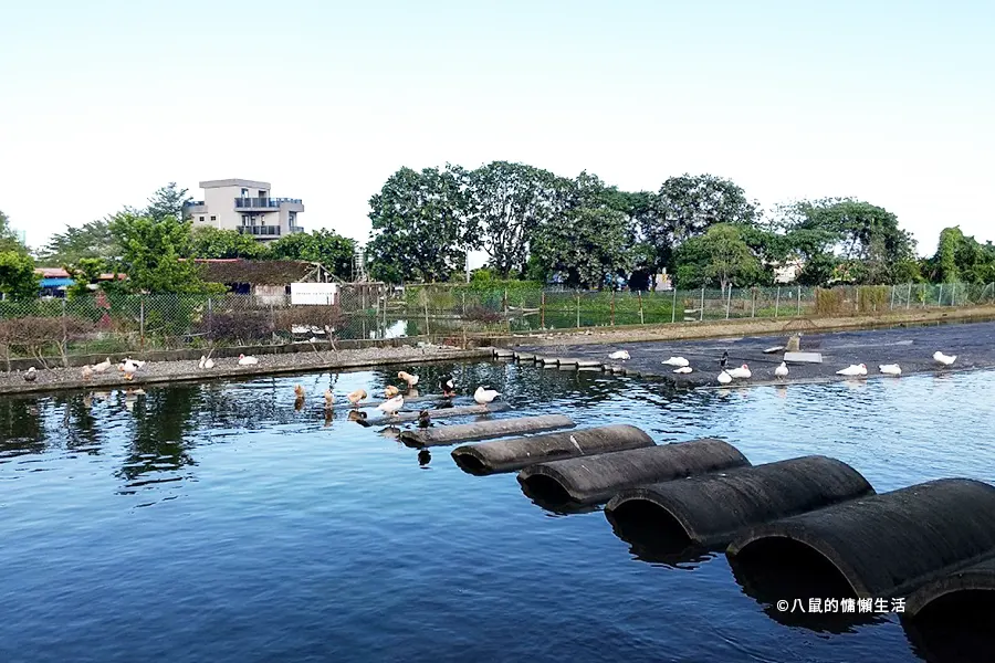 yilan-jiaoxi-produck-travel24