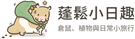 蓬鬆小日趣