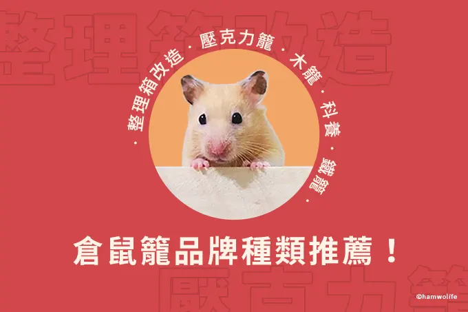 文章圖片