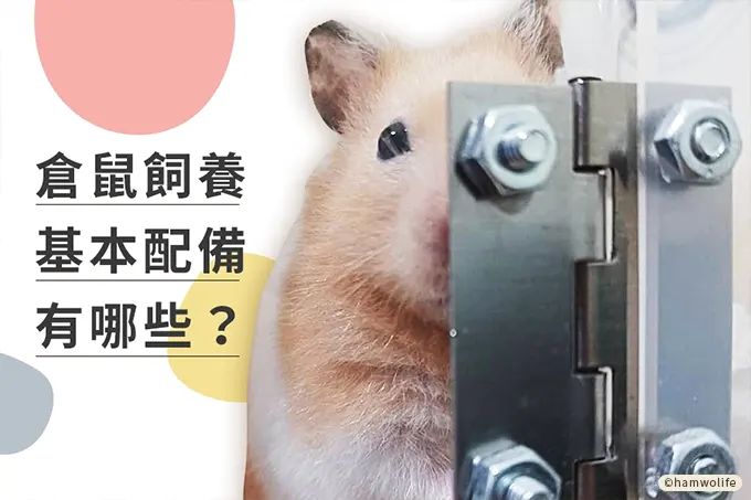 文章圖片